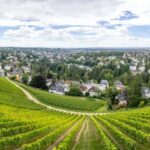 Wiesbaden: Neroberg - Wiesbaden's local mountain tour - Who Will Enjoy This Tour?