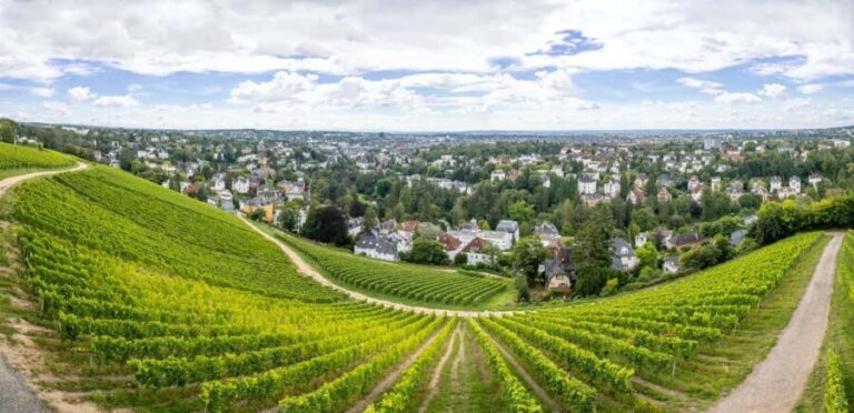 Wiesbaden: Neroberg - Wiesbaden's local mountain tour - Who Will Enjoy This Tour?