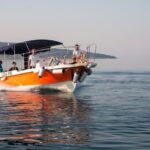 Wild Bays of Krk Island: A private half day boat tour - Who Is This Tour Best For?