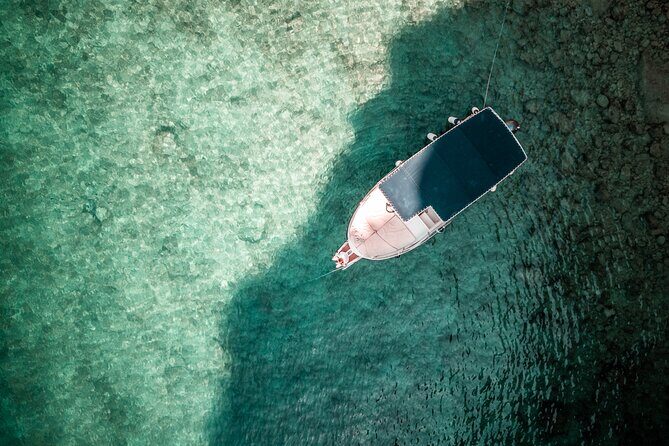 Wild Bays of Krk Island: A private half day boat tour - Practical Details and Considerations