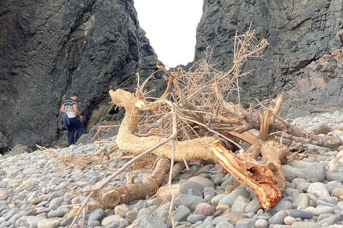 Wild coast nature experience and legends - What Do Reviewers Say?