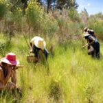 Wild experience: discover, cook & eat the local wild flora - What to Expect During the Experience