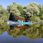 Wild & Free: Lagoon Boat, Beach Horseback, Crocs & Turtle Release - Practical Considerations