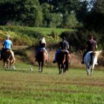 Wild Spring Ranch near Plitvice Lakes, Croatia, Horse Riding - Who Is This Tour Best For?