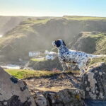 Wild west: Tour Cornwall`s rugged west coast. - Why This Tour Is a Good Deal