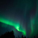 Wilderness Adventure by Snowmobile Sleigh - What It’s Like Riding in a Snowmobile Sleigh