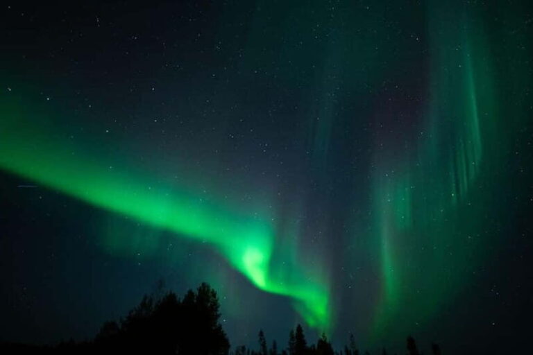 Wilderness Adventure by Snowmobile Sleigh - What It’s Like Riding in a Snowmobile Sleigh