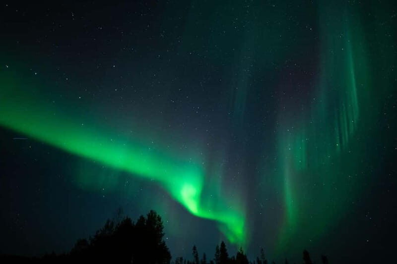 Wilderness Adventure by Snowmobile Sleigh - What It’s Like Riding in a Snowmobile Sleigh