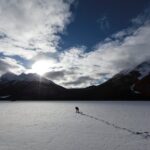 Wilderness and Wildlife Hiking Tour - 3hr Hike - Who Should Consider This Tour?