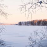 Wilderness Lunch Experience - Vasaraperä Village in Winter - Practical Details and Tips
