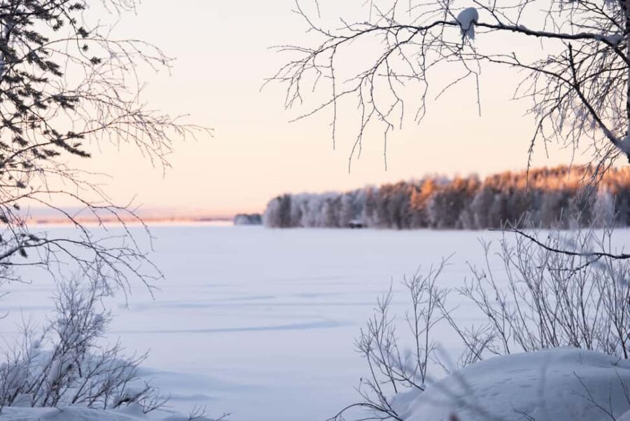 Wilderness Lunch Experience - Vasaraperä Village in Winter - Practical Details and Tips
