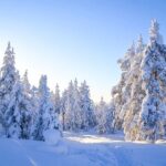 Wilderness Survival Tour - Winter - How This Tour Compares Value-Wise