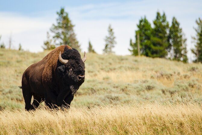 Wildlife and Waterfalls - Who Will Enjoy This Tour?