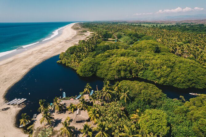 Wildlife Eco Tour on the coast of Oaxaca. - Practical Details and Tips