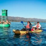 Wildlife Kayak Tour in Santa Barbara Harbor (2 Hours) - What’s Included, What to Expect