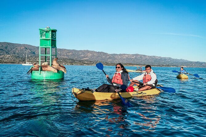 Wildlife Kayak Tour in Santa Barbara Harbor (2 Hours) - What’s Included, What to Expect