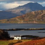 Wildlife Watching Safari by Vehicle & Walks / Photography workshops with a Guide - Who Is This Tour Best For?