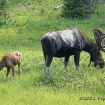 Wildside 4X4's Sunset Photo Tour - Who Is This Tour Best For?