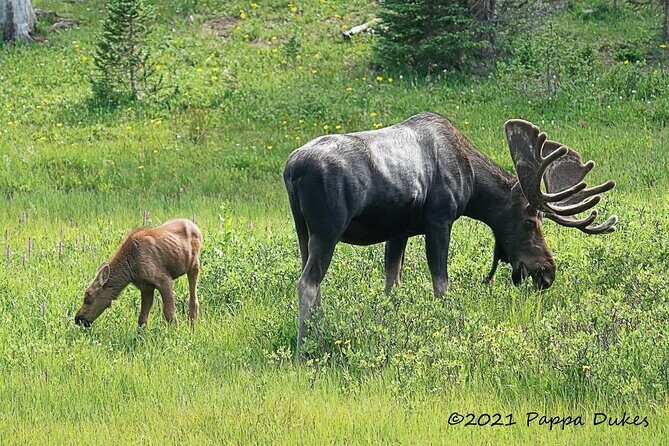 Wildside 4X4's Sunset Photo Tour - Who Is This Tour Best For?