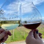 Willamette Valley Wine Tour from Portland - The Logistics and Practicalities