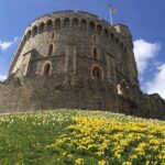 Windsor castle private tour - What the Reviews Tell Us