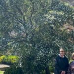 Windsor: Private Town-Walking Tour - The Experience in Detail