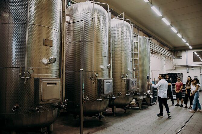 Wine and Balsamic Vinegar Tour with Tasting - An In-Depth Look at the Tour Experience