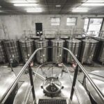 Wine and Cheese experience - The Setting: Cellar and Vineyard Trail