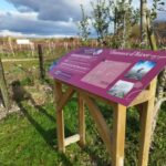 Wine and Chocolate experience - Who Is This Experience Best For?