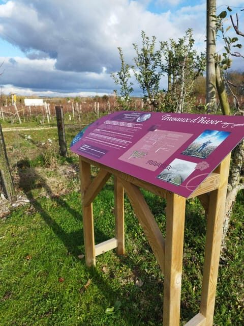 Wine and Chocolate experience - Who Is This Experience Best For?