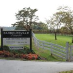 Wine and Culinary Delight Private Tour - Who Is This Tour Best For?