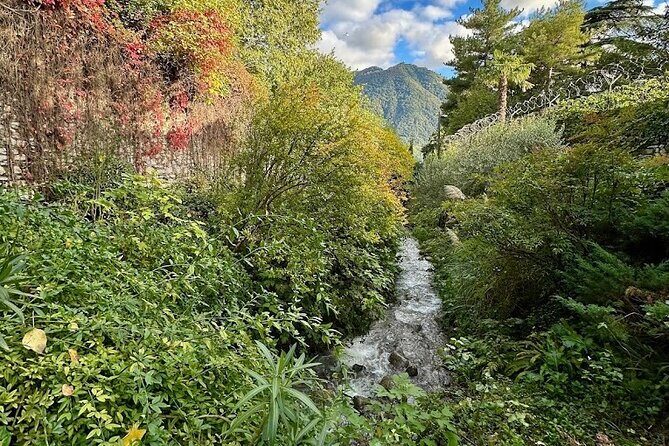 Wine and Culture on the Lake: An Italian Experience in Como - Who Would Love This Tour?