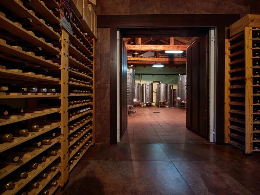 Wine and Food Pairing Tasting Las dos Antiguas- Bodega Artesanal Segovia - Travel Tips and Considerations