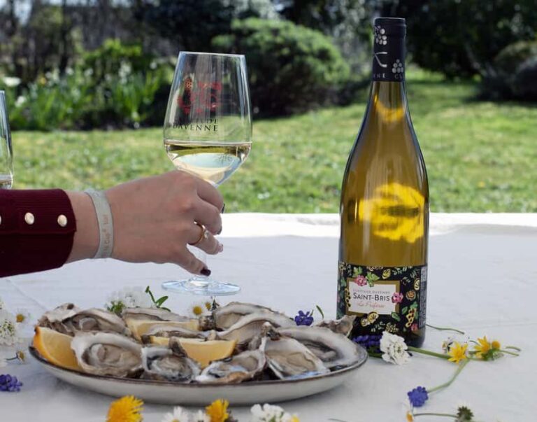 Wine and oyster tasting at Chablis - The itinerary breakdown