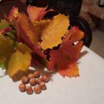 Wine and Typical Product Tasting Tour - Practical Details and What to Expect