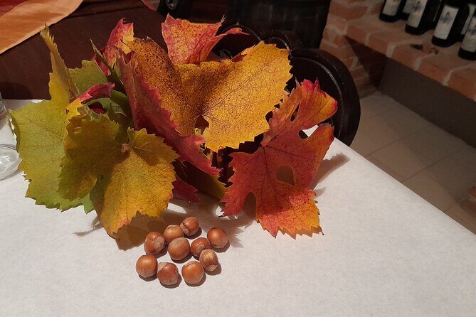 Wine and Typical Product Tasting Tour - Practical Details and What to Expect