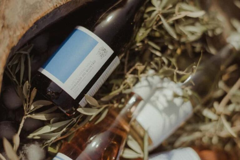 Wine Break - Visiting Details and Practical Tips