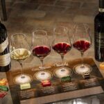 Wine & Chocolate Tour and Tasting in Alba area - The Bottom Line: Is It Worth It?