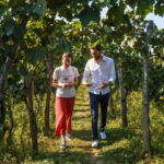 Wine & Dine group tour from Kutaisi - The Experience in Detail
