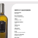 Wine Education Course in Rome with Tasting - The Breakdown of the Itinerary