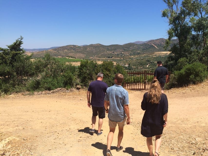 Wine Experience around Cagliari - What Makes This Tour Stand Out