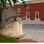 Wine experience in a local winery - Departure from Cagliari - Discover the Charm of Sardinian Wine with a Local Winery Tour from Cagliari