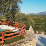 Wine experience in Dorgali in the heart of the Cannonau Classic Zone - Discovering the Heart of Sardinian Winemaking in Dorgali