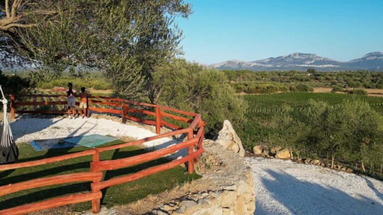 Wine experience in Dorgali in the heart of the Cannonau Classic Zone - Discovering the Heart of Sardinian Winemaking in Dorgali