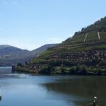 Wine experience with a sommelier - Transport, Timing, and Group Size