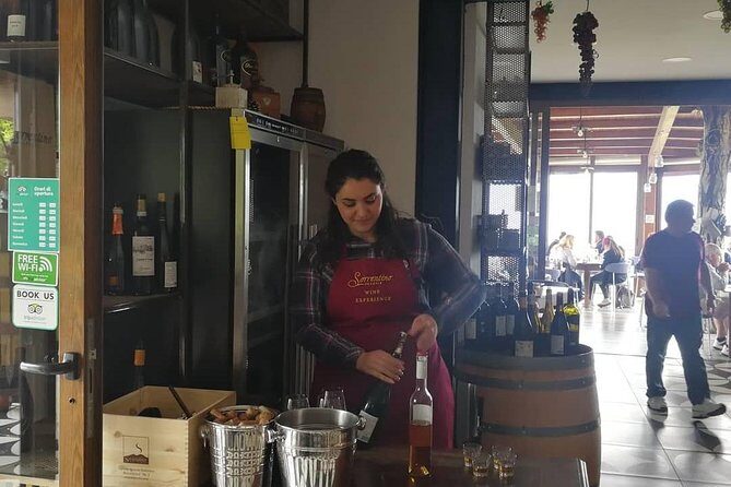 Wine & Food Tour at the Vesuvius Winery - The Practical Details