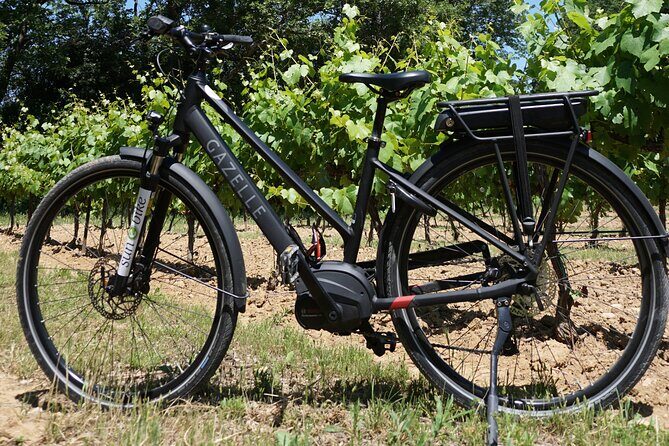 Wine of the Luberon by e-bike... Not to be missed ! - Price and Value