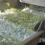 Wine, Olive Oil, and Honey Tour with Winemaker - Practical Details: Price, Duration, and Group Size