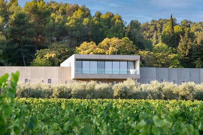 Wine, Olive Oil and Scenic Villages of Provence - The Sum Up