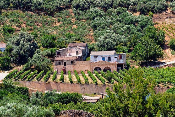 Wine & Olive Oil tasting one day private tour in Crete - Authentic Feedback from Travelers